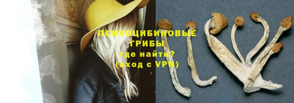 бошки Рославль