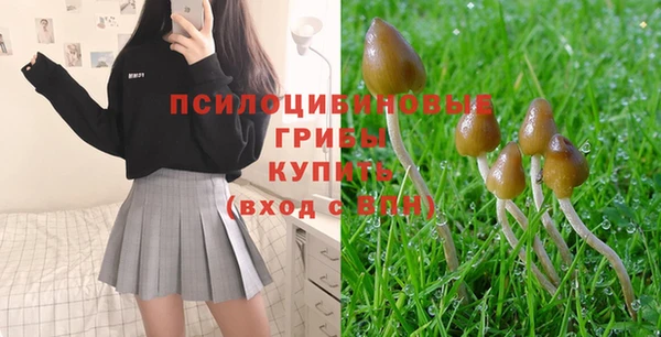a pvp Ростов
