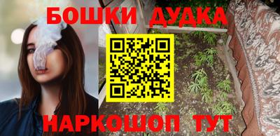крисы Дубна