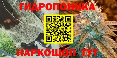 jwh Донской