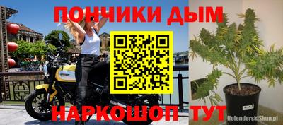 крисы Дубна