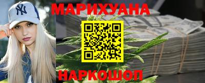 крисы Дубна