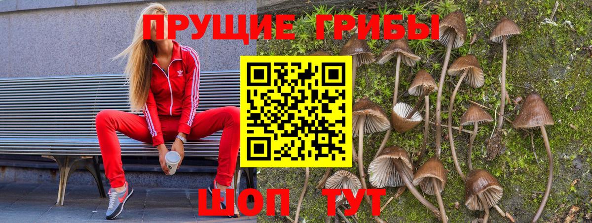 Галлюциногенные грибы Cubensis  Ярославль  Галлюциногенные грибы Magic Shrooms 