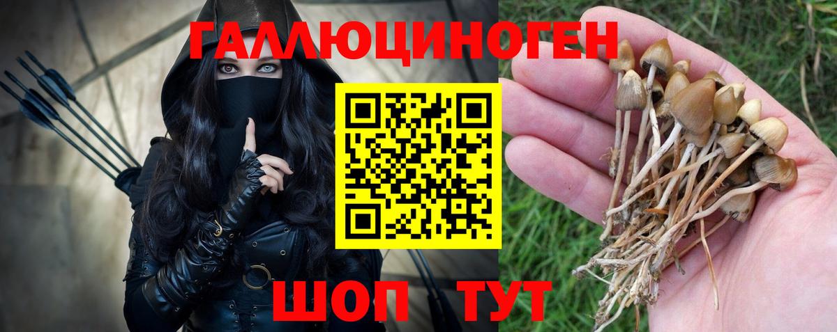 Галлюциногенные грибы Magic Shrooms  Вход с VPN  Ярославль  Псилоцибиновые грибы мухоморы 